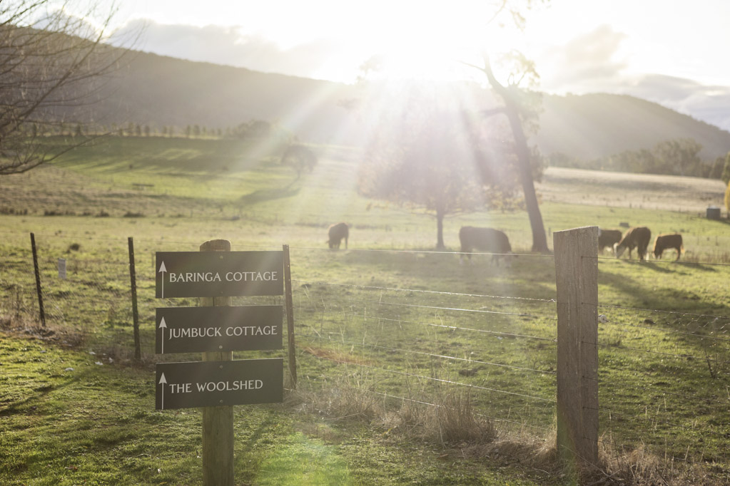 Signs at Baringa